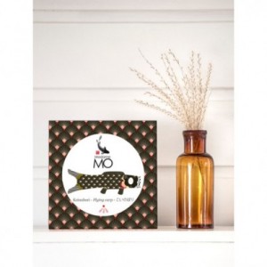 Koinobori Papa Koi (M)