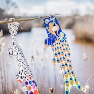 Peacock (S)