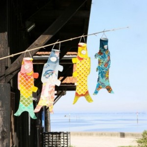 Koinobori Blue Blossom (S)