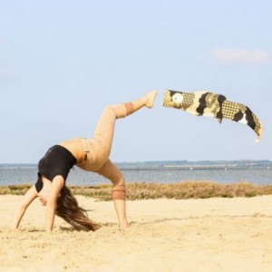 Koinobori Matsu Black (M)